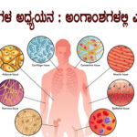 ಅಂಗಾಂಶಗಳ ಅಧ್ಯಯನ : ಅಂಗಾಂಶಗಳಲ್ಲಿ ಎಷ್ಟು ವಿಧ ..?