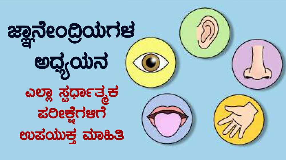 ಜ್ಞಾನೇಂದ್ರಿಯಗಳು ಅಧ್ಯಯನ