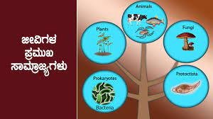 ಪ್ರಾಣಿ ಸಾಮ್ರಾಜ್ಯದ ಬಗ್ಗೆ ಮಾಹಿತಿ