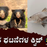 ▶ ಪ್ರಚಲಿತ ಘಟನೆಗಳ ಕ್ವಿಜ್ – 27-11-2023 | Current Affairs Quiz